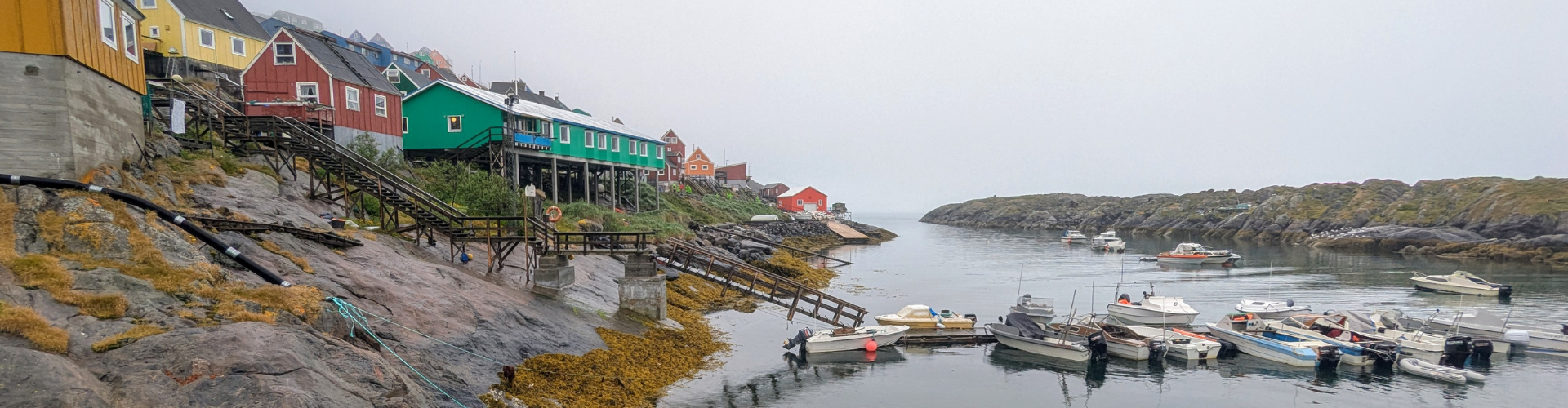 Greenland Expedition Cruise Guide: What to Expect & How to Choose